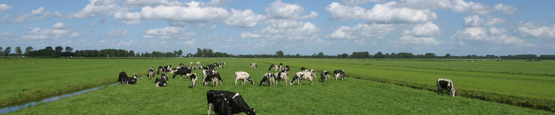 “De kleren maken de man”